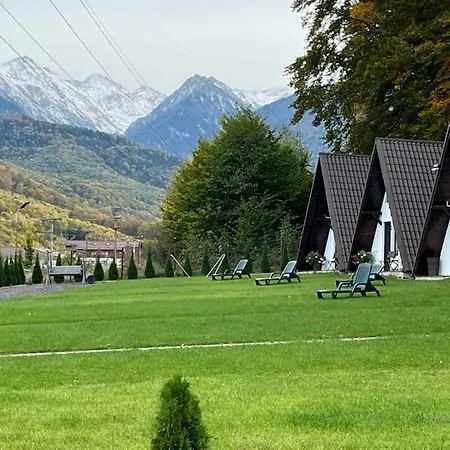Casutele De Sub Padure