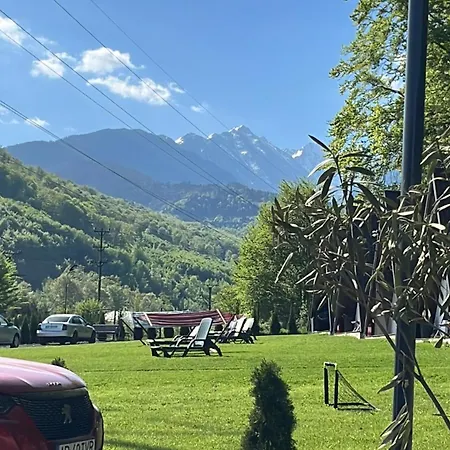 Casutele De Sub Padure *